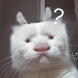 ay