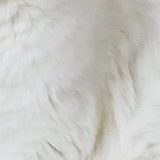 改名费脑
