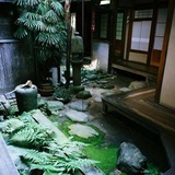 月色烟岚