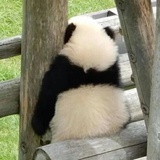 奥哩呢呱
