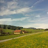 Novo
