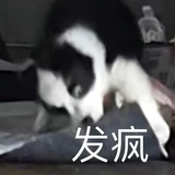 小z