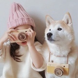 漫淼