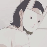 胡同的猫