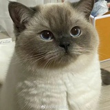 Ts7