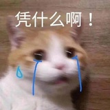 争口气