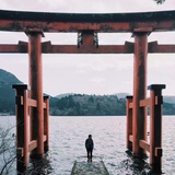 陈坦