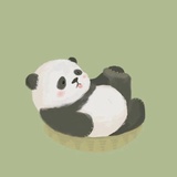 阿芙拉