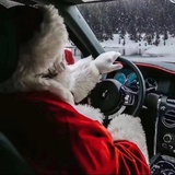 一只傲娇的肥猫