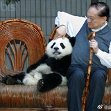 光