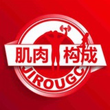 肌肉构成