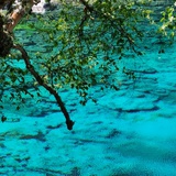 一颗贪玩的柚子