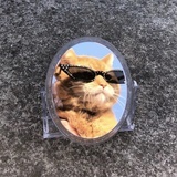 派大星的派
