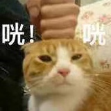 杨嘉