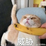 一一