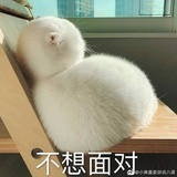 刘壮实