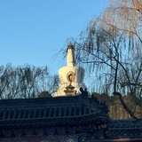 棉花胡同七号