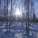 雪