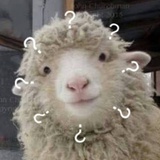 随便吧