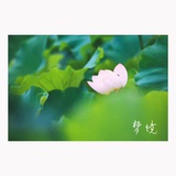 无物