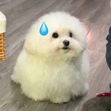 Riize朴振英