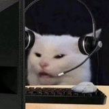 一只海螺猪