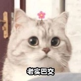 吨吨