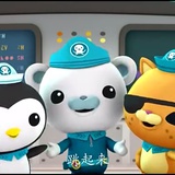 是企鹅幼崽啊