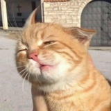 JKttt