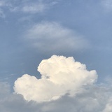 Ball