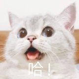 :D
