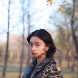 菲菲菲