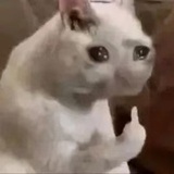 豆友165007922