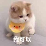 搞笑哦你
