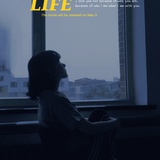 狐扯扯