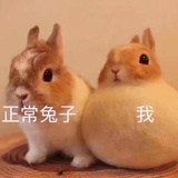摆烂的momo