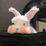 怎么介绍下自己