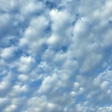 小小酒菜