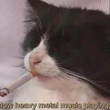 迷界