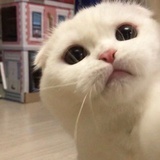 ‎