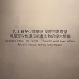 鲨鱼鳍爱吃西瓜