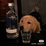F_方方