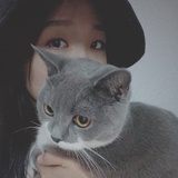 🐈