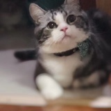 熙児8