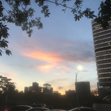 小刺猬