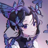 Shel耳朵