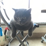 日光飞矢