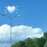 洛洛菌