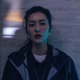 白杨啊白杨