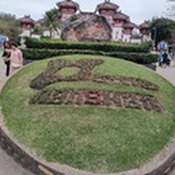 思思